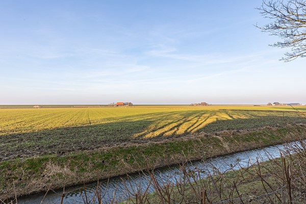 Foto - Te koop: Nieuwebildtdijk 300, 9076 PP Sint Annaparochie